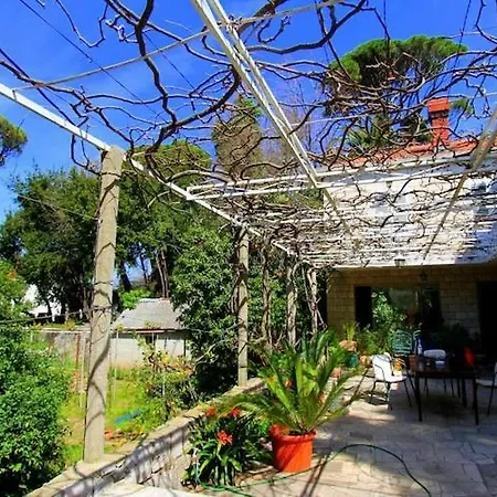 Zec - With Terrace 3 Adults Lopud